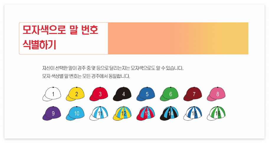 마사일호 경마 게이트별 기수 모자 색상과 마주 복색