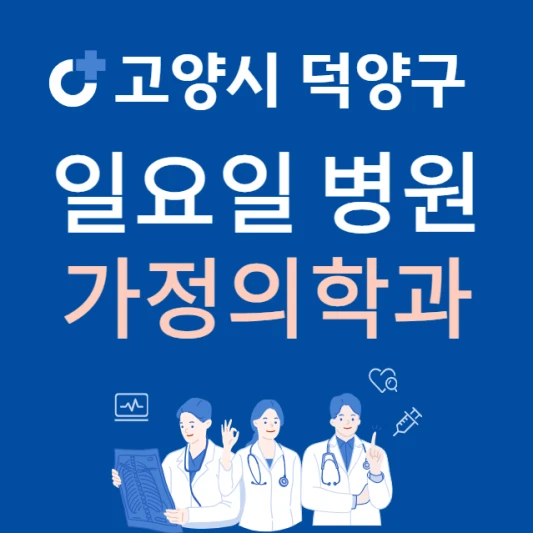 고양시-덕양구-일요일-가정의학과-진료하는곳-주말에-문여는-고양시-24시간-가정의학과-병원-찾기