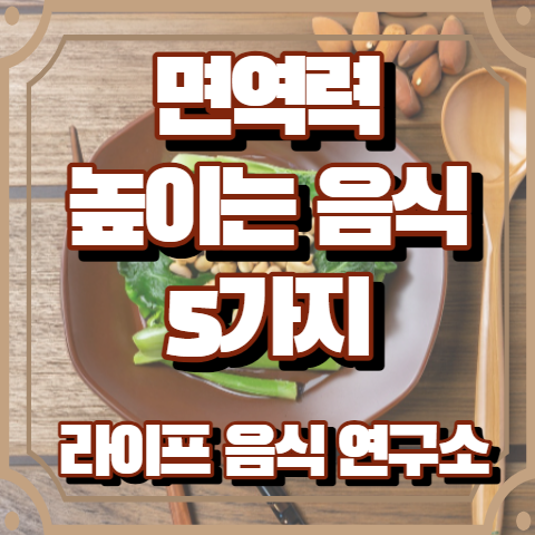면역력 높이는 음식 5가지