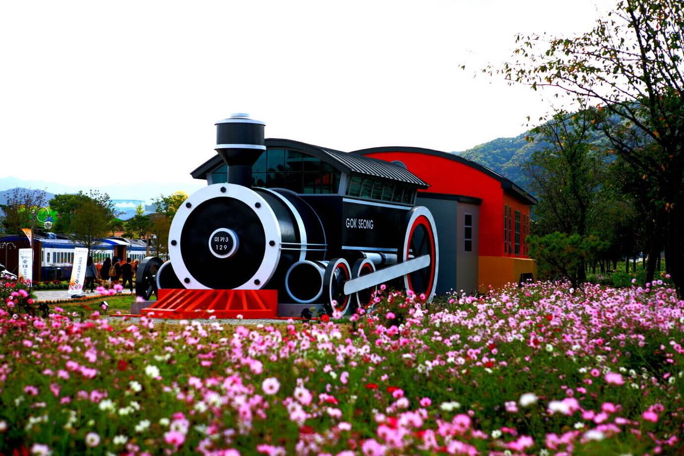 곡성기차마을 세계 장미축제