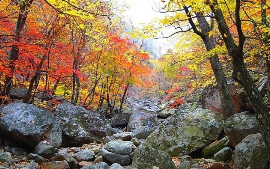 2024년 가을 단풍시기 (출처 : 한국관광공사)