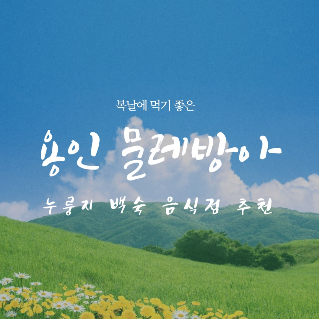 썸네일