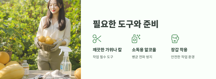 참외 순치기 방법 완벽 정리 5