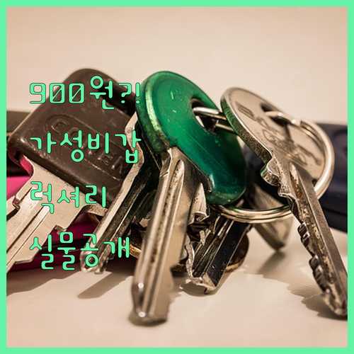 900원대 가성비 주문 제작 상품과 ..