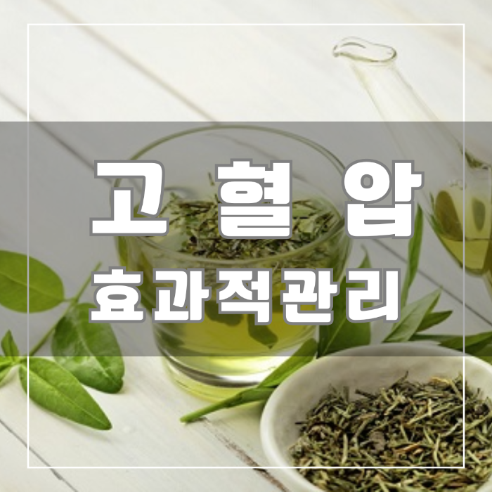 고혈압 효과적 관리