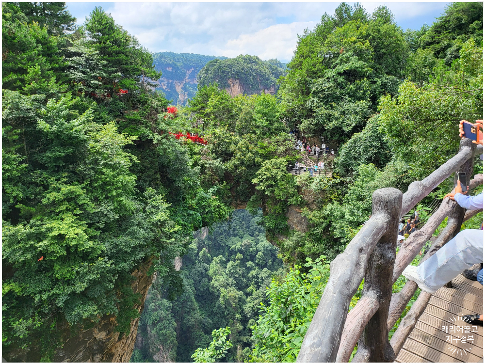 중국 장가계 원가계 천하제일교