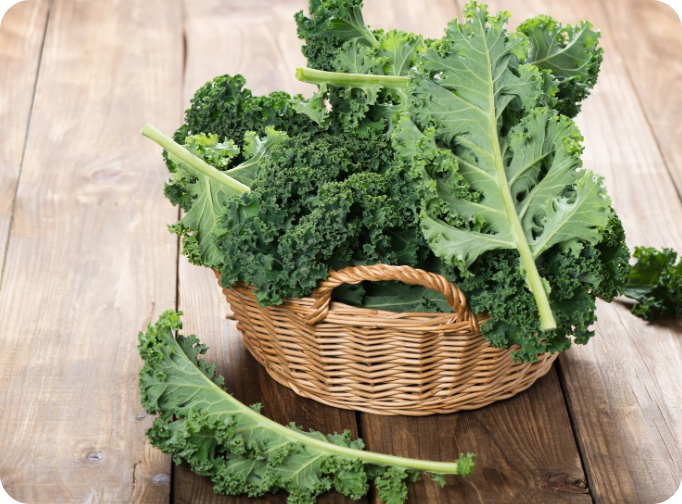 바구니에 케일이 담겨있다.