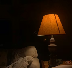 멜라토닌 부작용 섭취방법