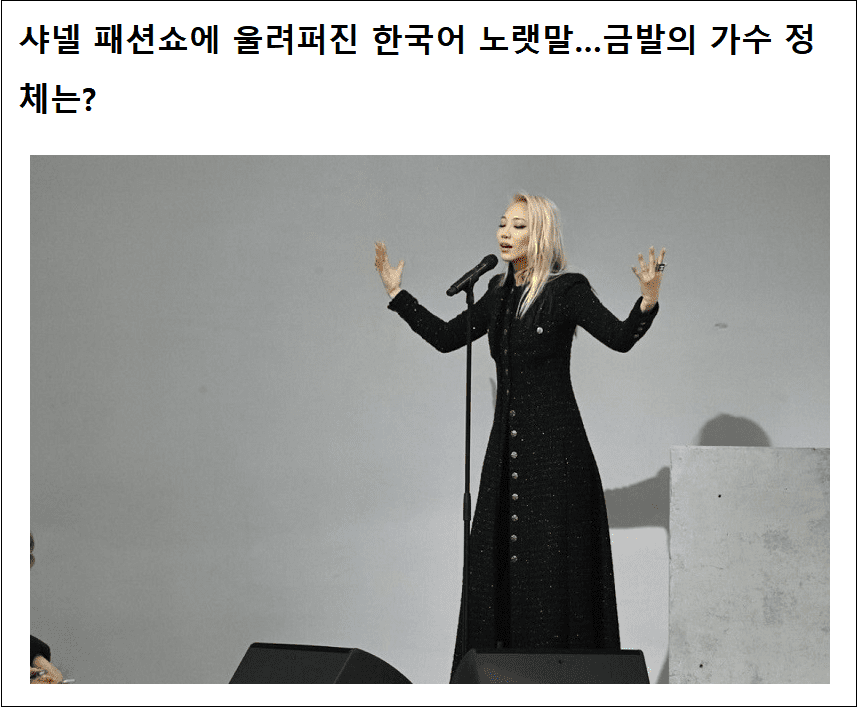 샤넬 패션쇼 ,수주