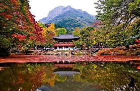 가을 단풍여행 추천지 베스트 경주 불국사