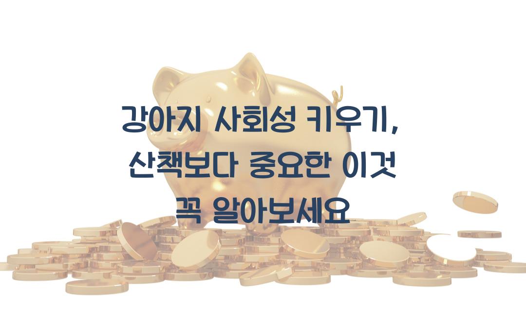 강아지 사회성 키우기, 산책보다 중요한 이것!