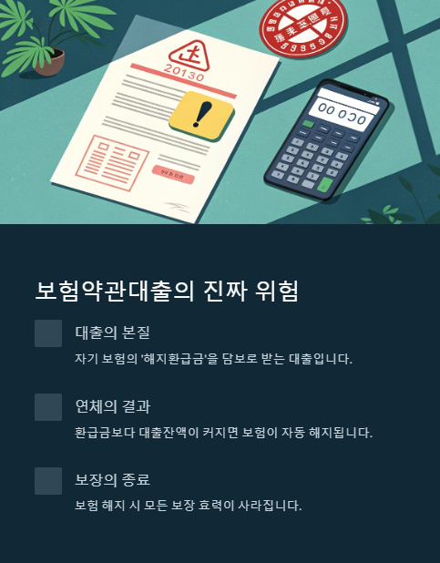 보험약관 대출의 진짜 위험