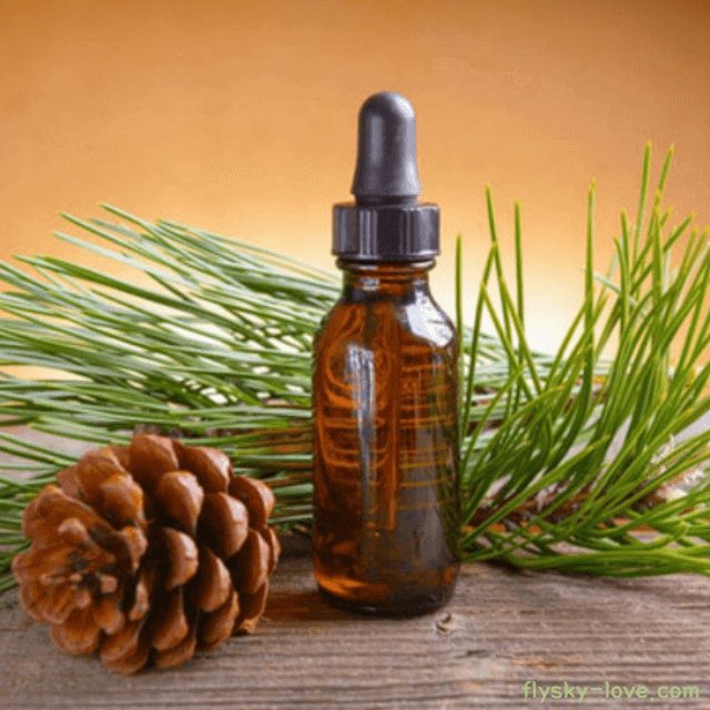 파인 (Pine), 파인 오일