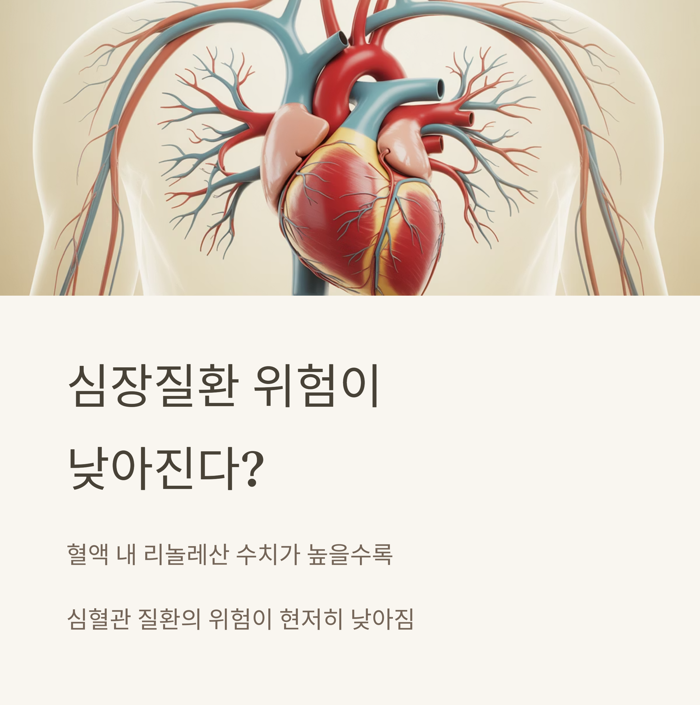 씨앗기름(종자유) 이 기름이 기적의 명약