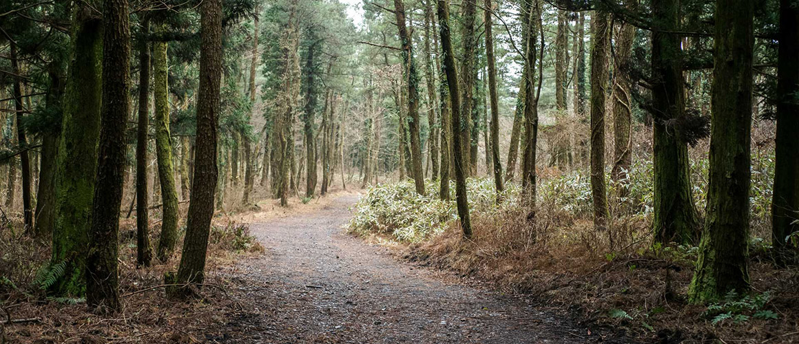 조용하고 한적한 제주 오름 손지오름 민오름 족은노꼬메오름