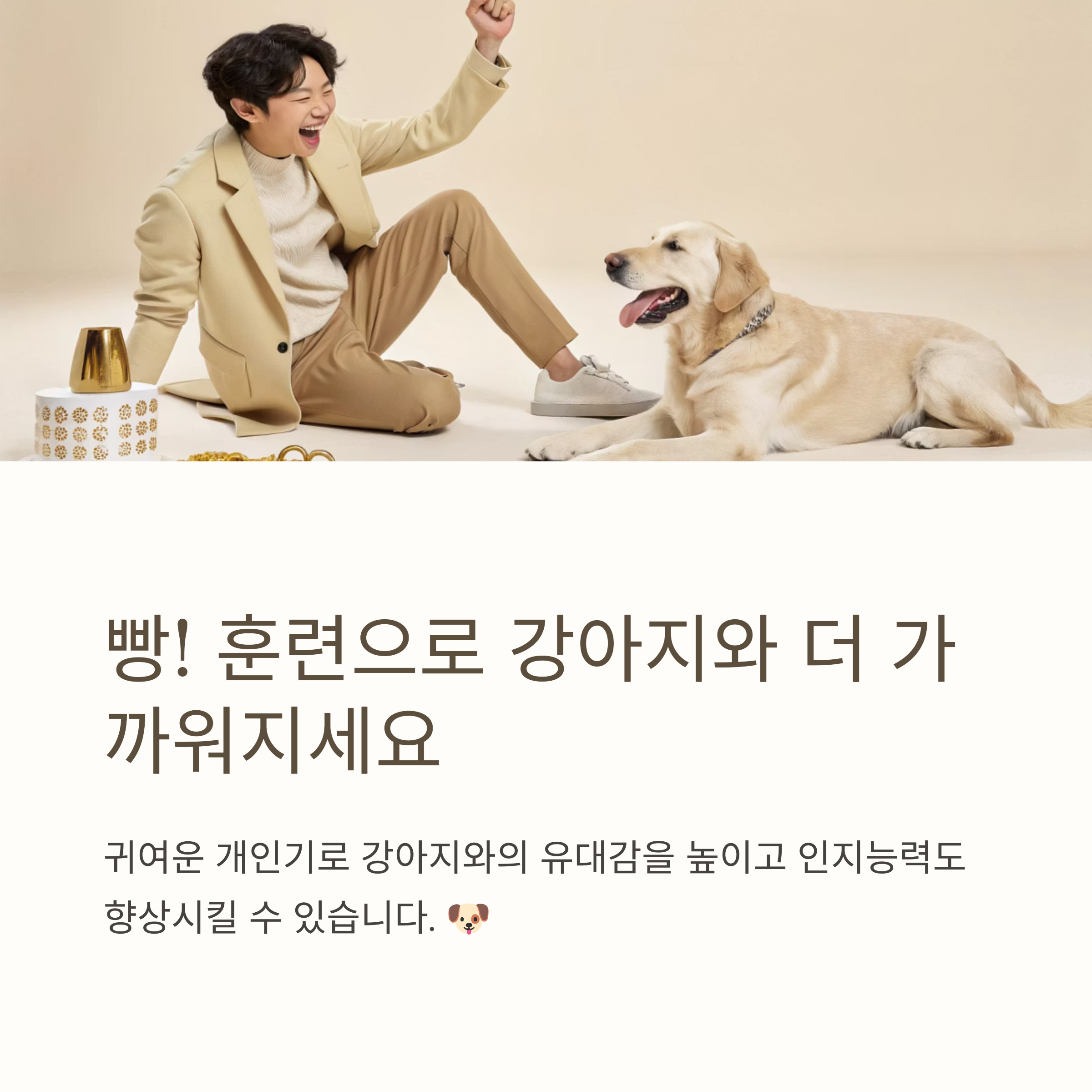 빵! 훈련으로 강아지와 더 가까워지세요