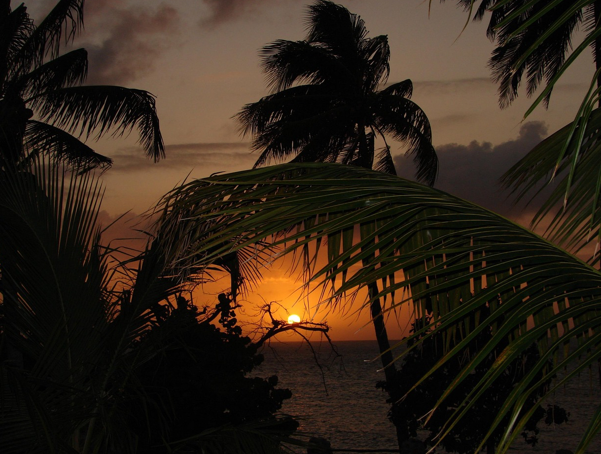 카리브해 노을 사진