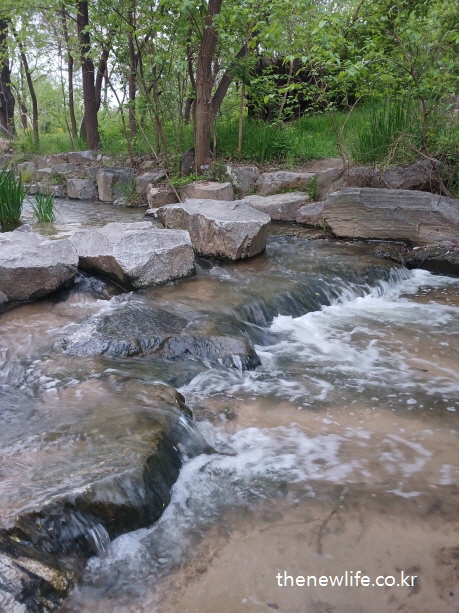 서울 여의도 샛강생태공원의 바위 위를 흐르는 개울물, 부드럽게 이어지는 맨발 걷기 좋은 길의 일부 풍경