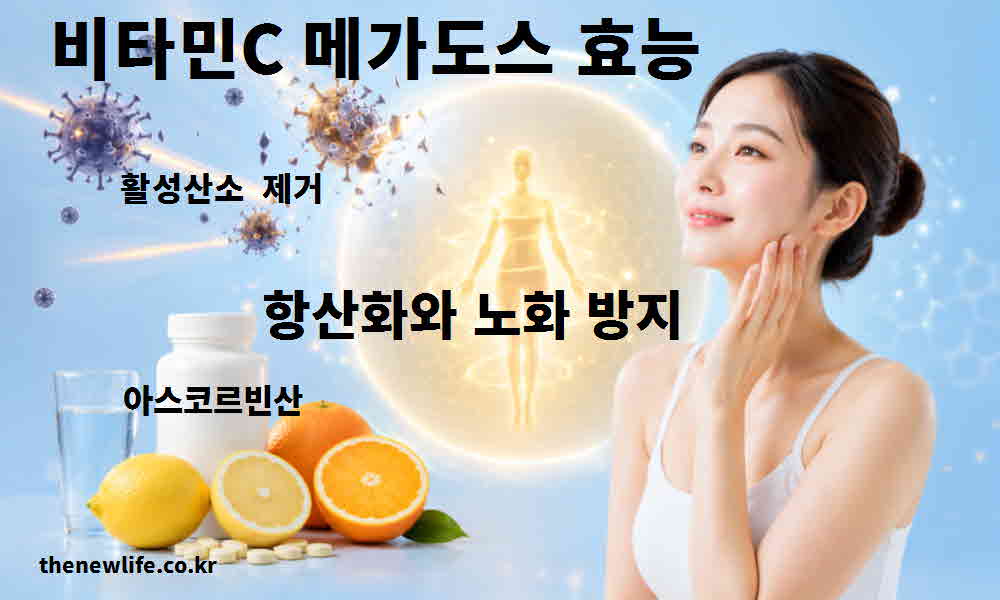 비타민C 메가도스 효능 항산화 노화 방지