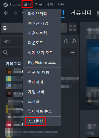 스팀