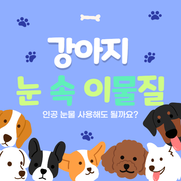 눈_속_이물질_썸네일