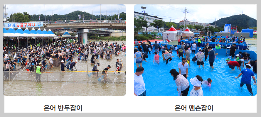 봉화은어축제