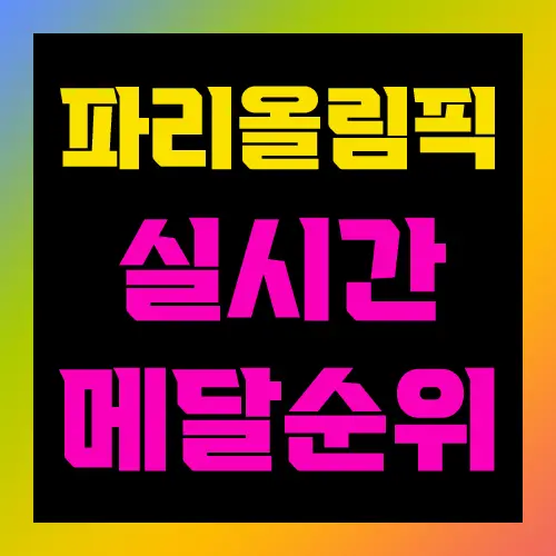 파리올림픽 실시간 메달 순위 보기