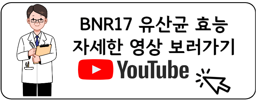 BNR17 유산균
