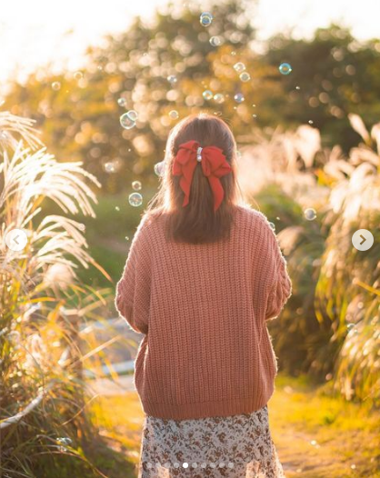 하늘공원-억새축제-서울정원박람회