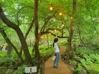 제이드가든 수목원 입장료 셔틀버스 맛집_11