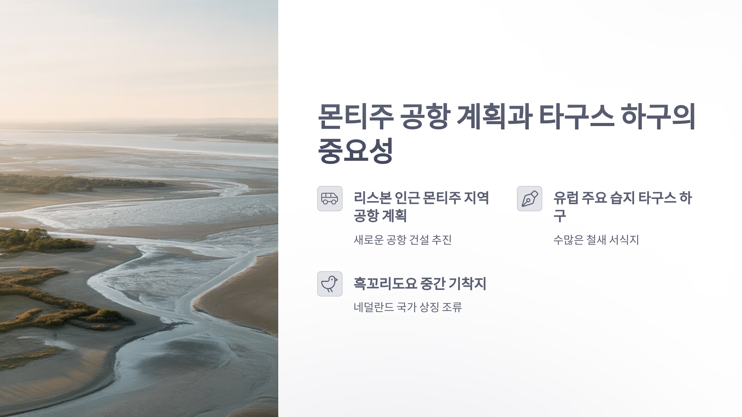 참조-흑꼬리도요,-포르투칼-공항-건설-취소-2