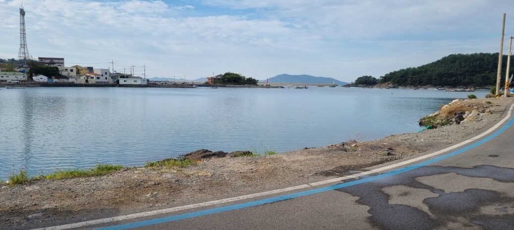 오늘N 이 맛에 산다 낭도 서대회무침 맛집 낭도원조맛집