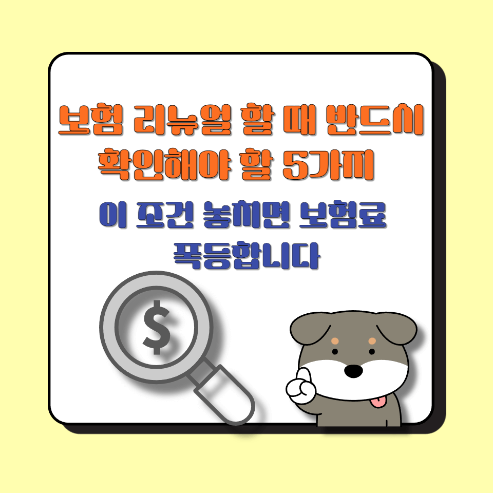 보험 리뉴얼 할 때 반드시 확인해야 할 5가지 │ 이 조건 놓치면 보험료 폭등합니다