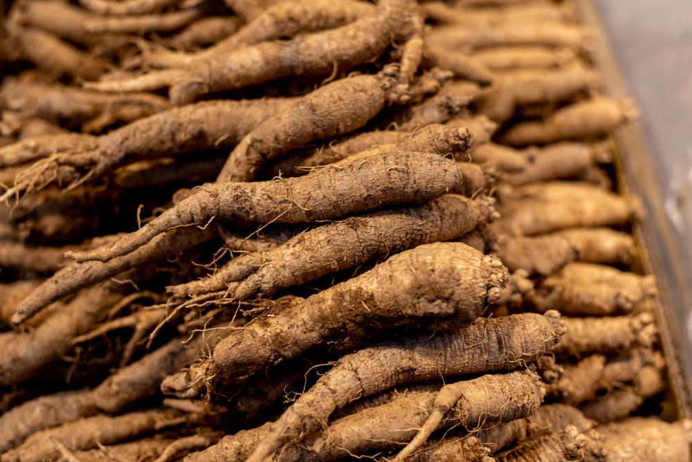 흙이-묻은-더덕