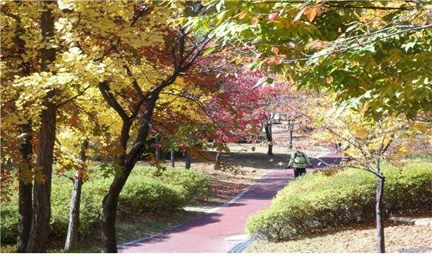 서울 단풍길 96선