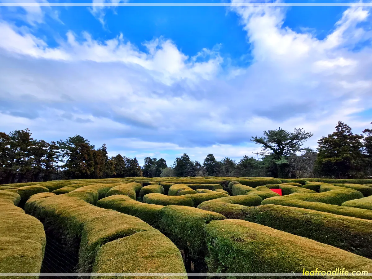 제주-김녕-미로-공원-위에서-바라본-미로-모습