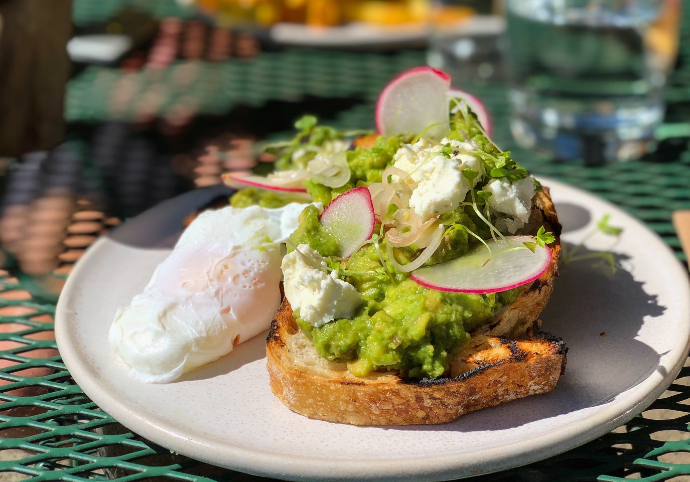 혈당에도-좋은-아보카도