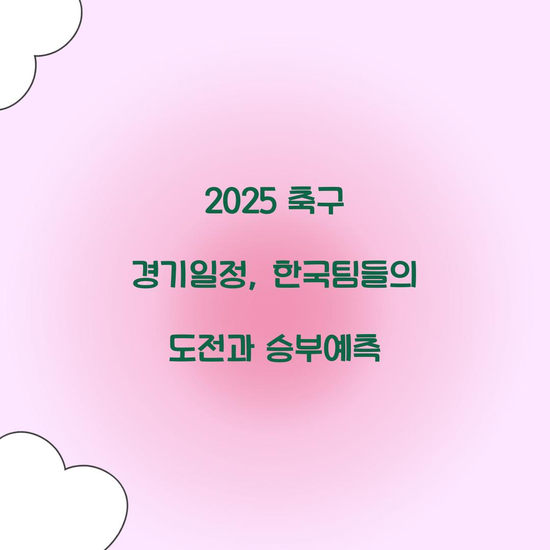 2025 축구 경기일정