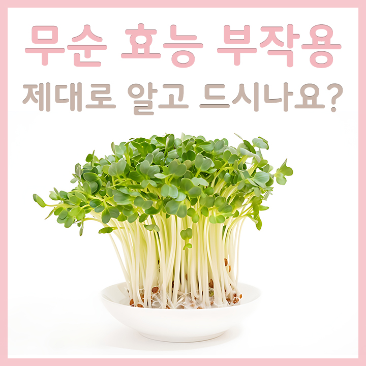 접시에-담긴-무순