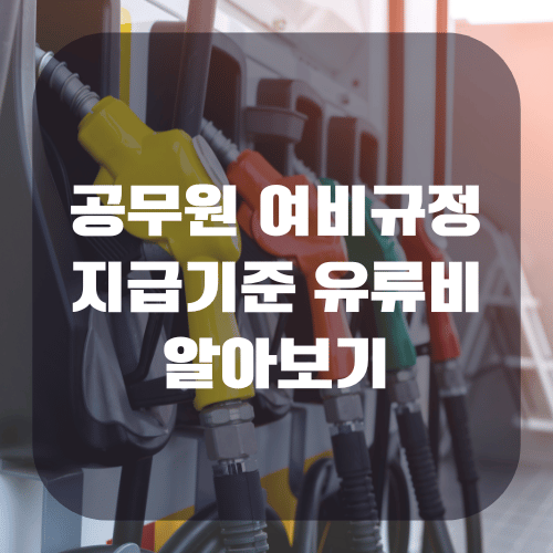 공무원 여비규정 지급기준 유류비