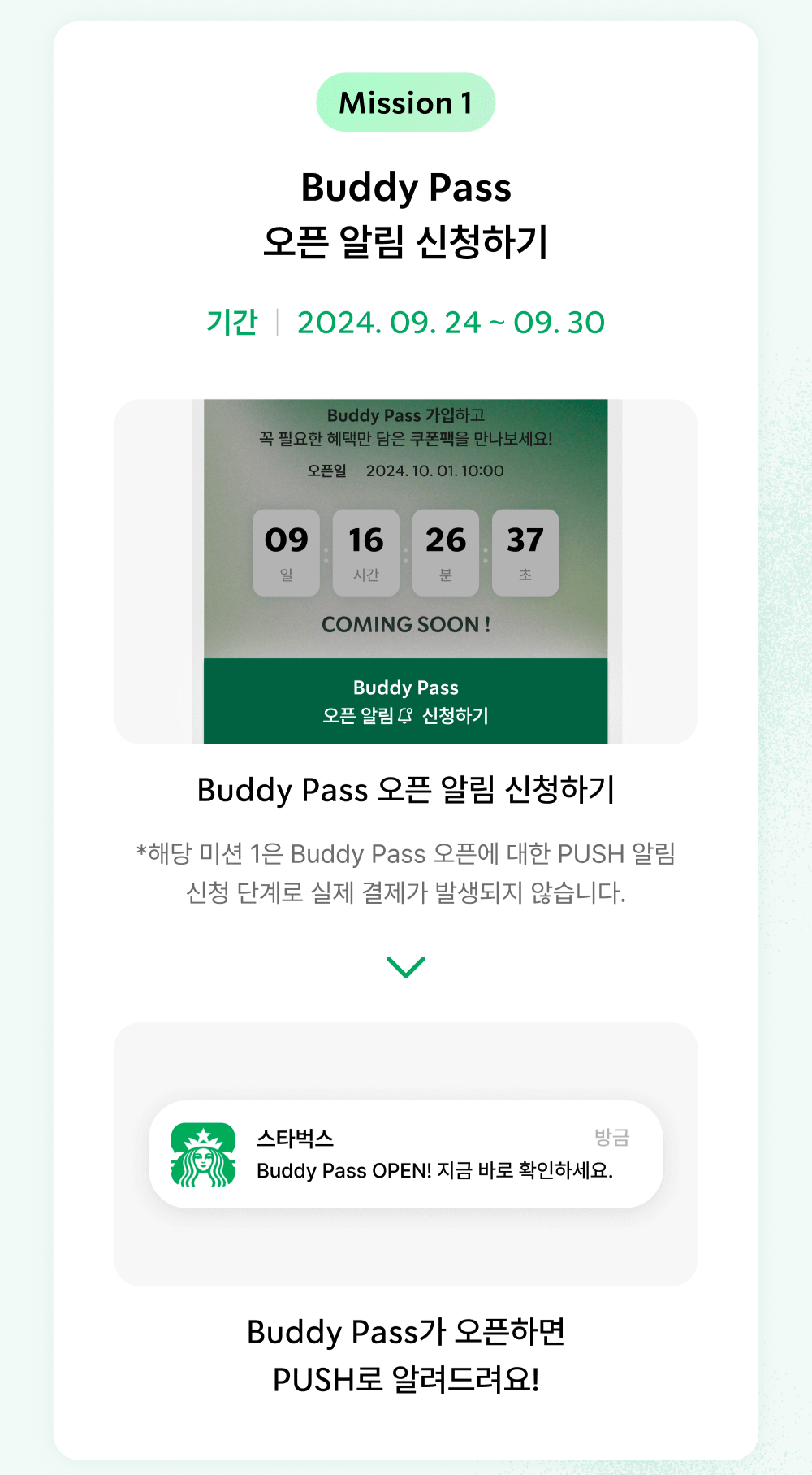 스타벅스 버디 패스