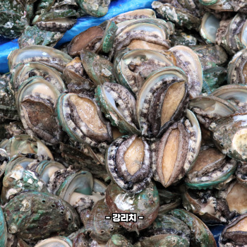 전복 부작용