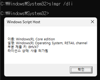 CMD 명령어를 이용한 라이선스 유형 확인 결과