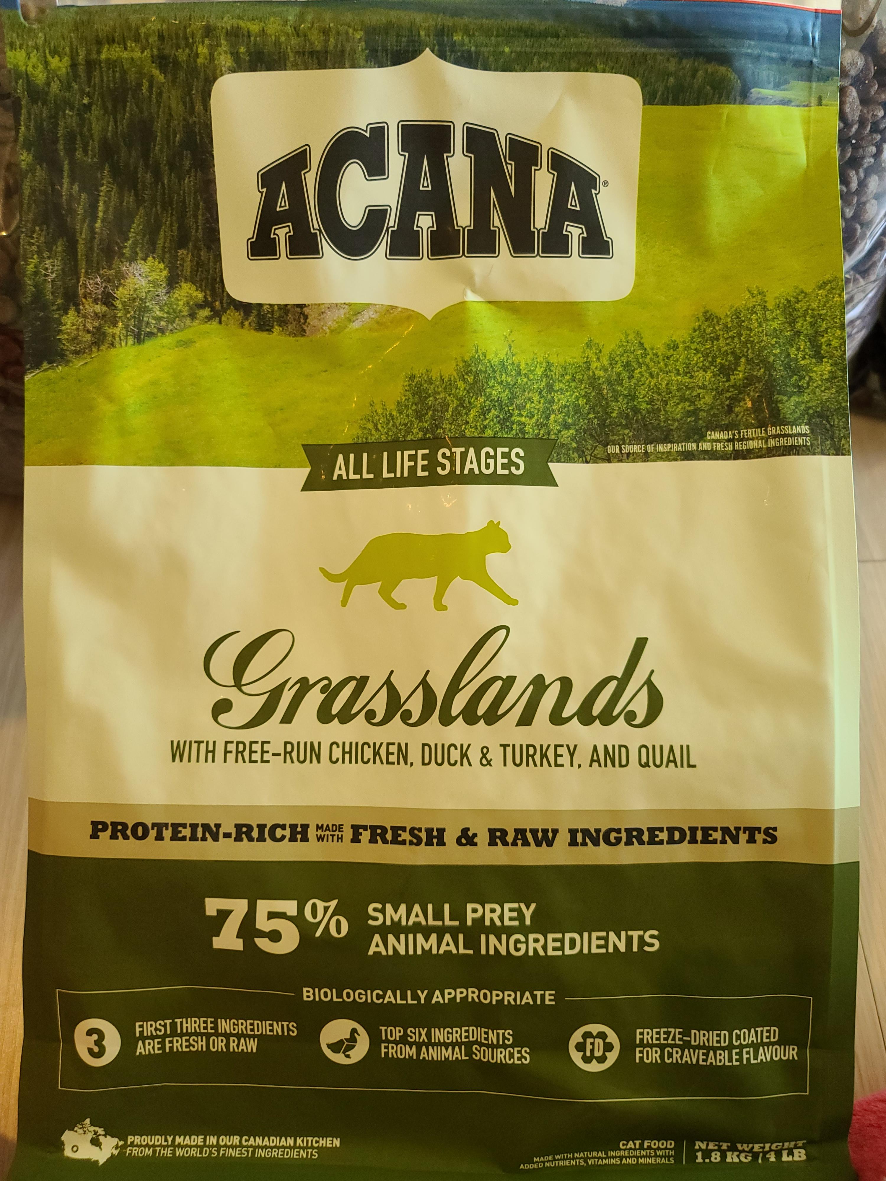 아카나 그래스랜드 캣. 고양이들에게 새로운 사료를 테스트해봤다.