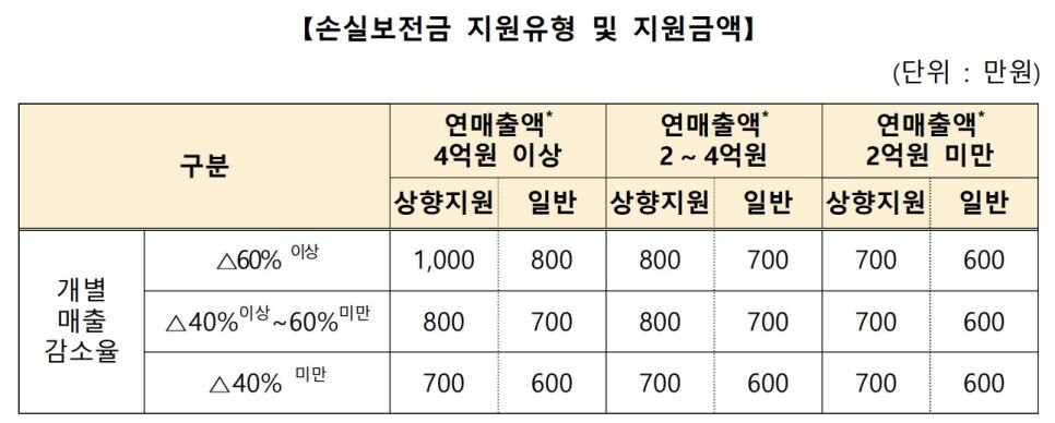 손실보전금-지원금