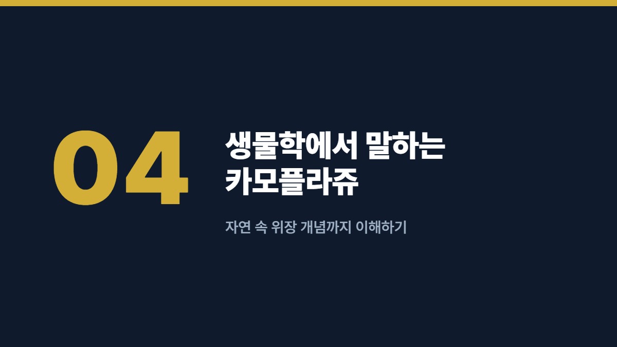 생물학에서 말하는 카모플라쥬 — 자연 속 위장 개념까지 이해하기