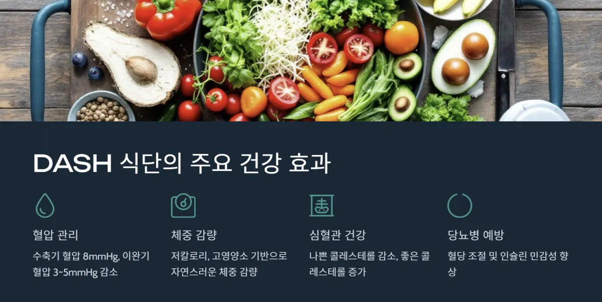 DASH_식단_고혈압예방