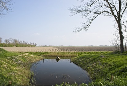 영농 경력 5년 쉽게 하는 법: 농지연금