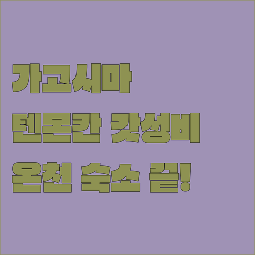 직접 비교한 가고시마 숙소 추천 텐몬..