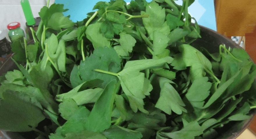 방풍나물이 수북히 쌓여 있다